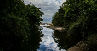 Picturesque river and lush greenery in Angra dos Reis, Brazil, reflecting a cloudy sky.