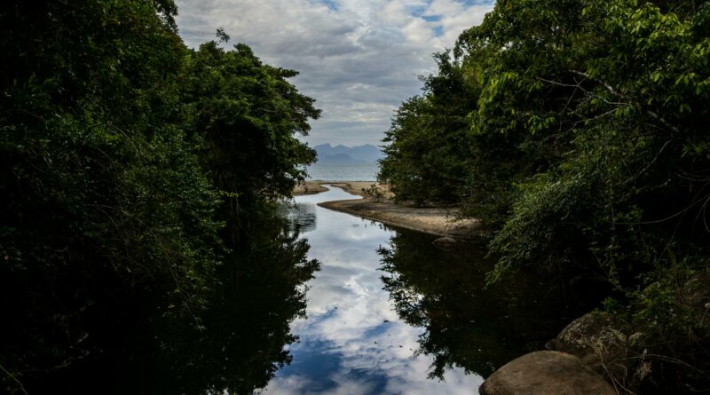 Picturesque river and lush greenery in Angra dos Reis, Brazil, reflecting a cloudy sky.