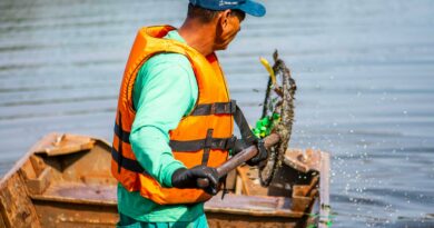 A worker cleaning a lake in Londrina, Brasil, wearing a life vest and using a net.