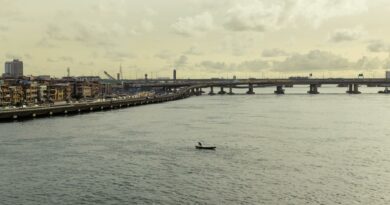 A tranquil scene of Carter Bridge spanning over water in Lagos, capturing urban and waterside charm.