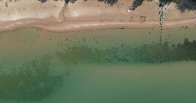 Drone captures sandy beach and clear water along the scenic Lake Michigan shoreline in Bliss, Michigan.