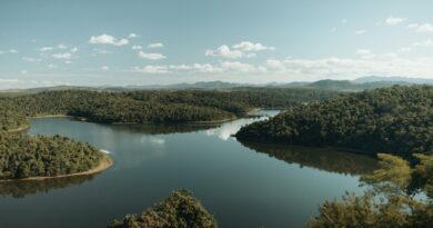 A picturesque view of a serene river winding through lush forests in Minas Gerais, Brazil.