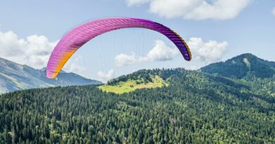 Experience an adventurous paragliding flight over lush alpine landscapes under a vibrant sky.