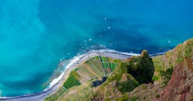 Stunning aerial shot of Câmara De Lobos coastline, Madeira, showcasing vibrant ocean and rugged landscape.