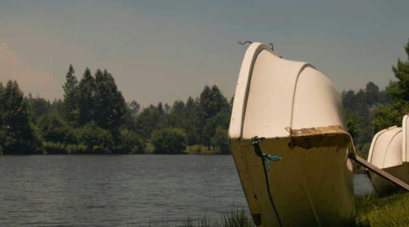 Calm scene of boats moored by a serene lake with trees in lush Estado de Hidalgo, Mexico.