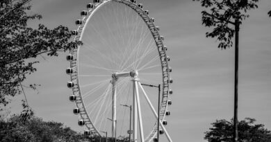 Elegant Ferris wheel in São Paulo captured in monochrome, surrounded by trees.