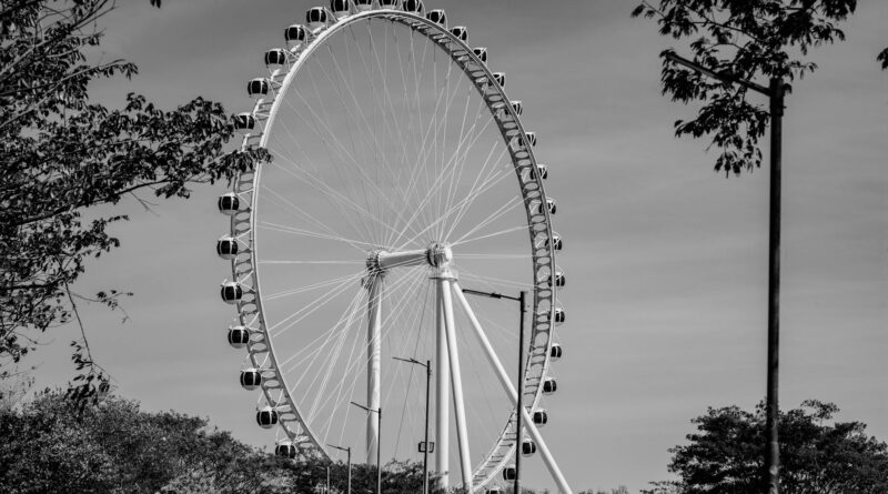 Elegant Ferris wheel in São Paulo captured in monochrome, surrounded by trees.