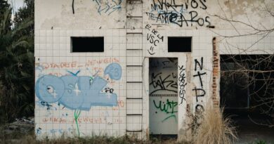Explore urban decay with vivid graffiti on an abandoned building in Rosario, Argentina.