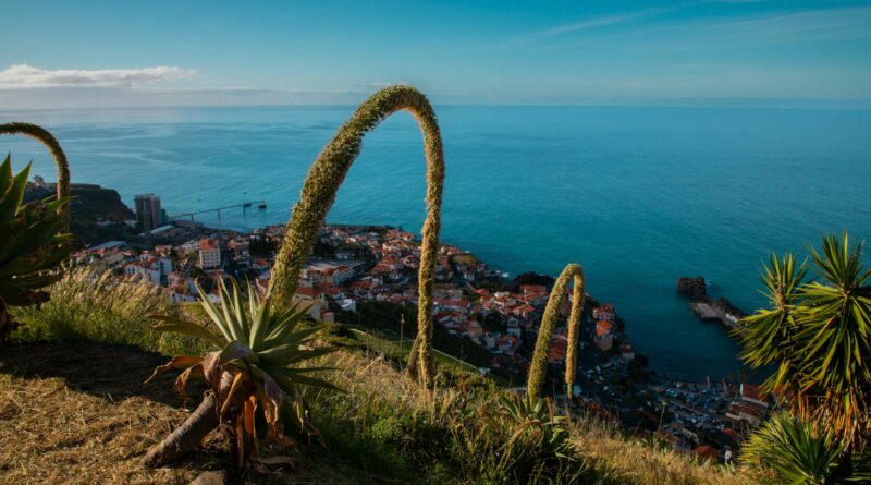 Breathtaking view of Câmara de Lobos with lush plants and the Atlantic Ocean in Madeira, Portugal.