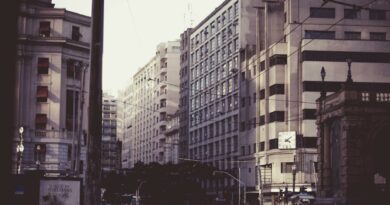 Bustling street scene in São Paulo, showcasing historic architecture and urban life.