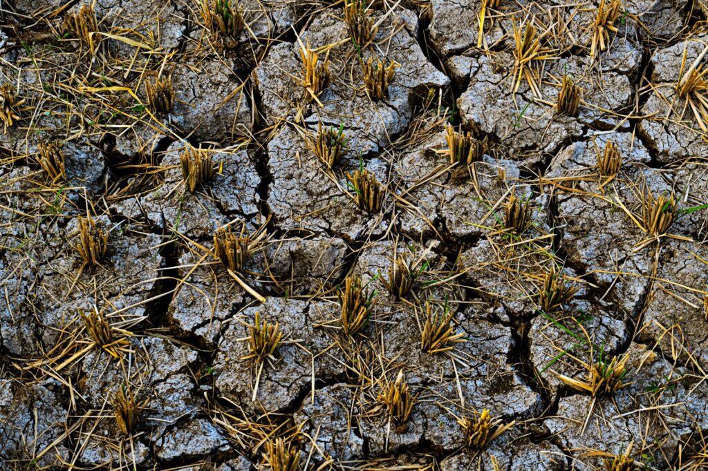 Campos agrícolas no Brasil sob condições climáticas extremas, como seca ou inundação, simbolizando o impacto da crise climática no agronegócio.
