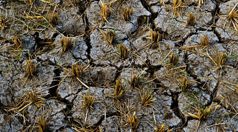 Campos agrícolas no Brasil sob condições climáticas extremas, como seca ou inundação, simbolizando o impacto da crise climática no agronegócio.