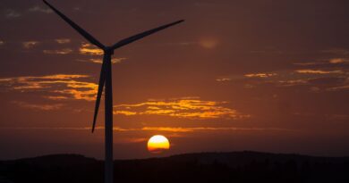Painéis solares e turbinas eólicas em paisagem brasileira, simbolizando a transição energética.
