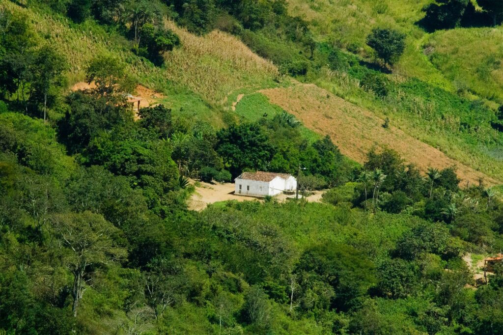Plantação agrícola no Brasil com foco em sustentabilidade e produção de alimentos