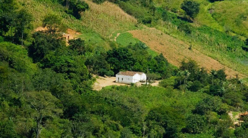 Plantação agrícola no Brasil com foco em sustentabilidade e produção de alimentos