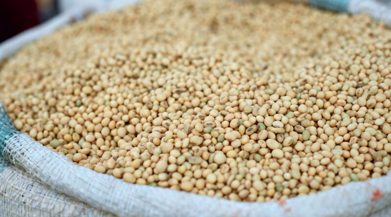 Cesta básica de alimentos em um contexto brasileiro, simbolizando a luta contra a fome e a busca pela segurança alimentar.