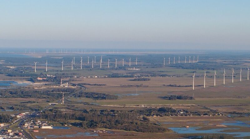 Avião decolando com rastro de fumaça limpa sobre campos de cana-de-açúcar, simbolizando a produção de SAF no Brasil.