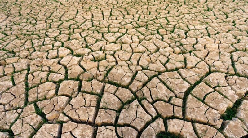 Família caminhando em área seca ou alagada, simbolizando deslocamento climático no Brasil