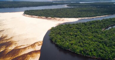 Vista aérea da floresta amazônica com rios e comunidades, simbolizando a bioeconomia e o desenvolvimento sustentável.