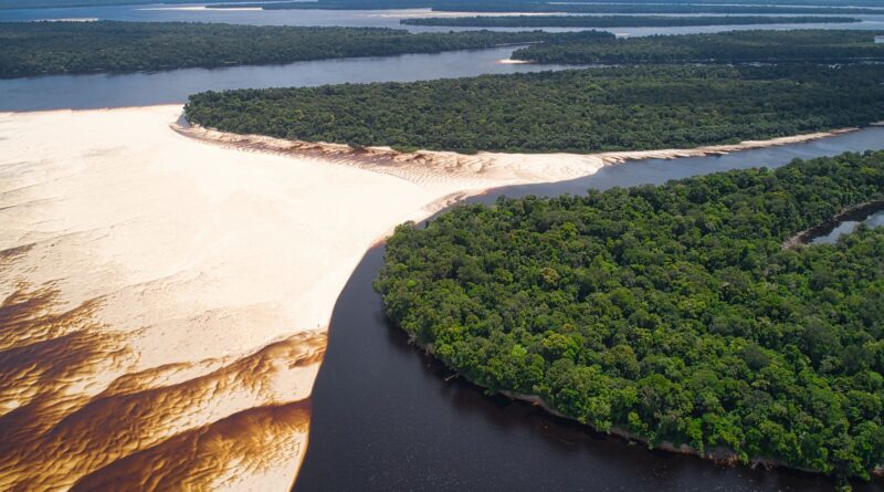 Vista aérea da floresta amazônica com rios e comunidades, simbolizando a bioeconomia e o desenvolvimento sustentável.