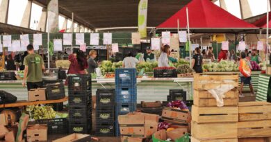 Família brasileira acessando alimentos saudáveis, simbolizando a busca por segurança alimentar