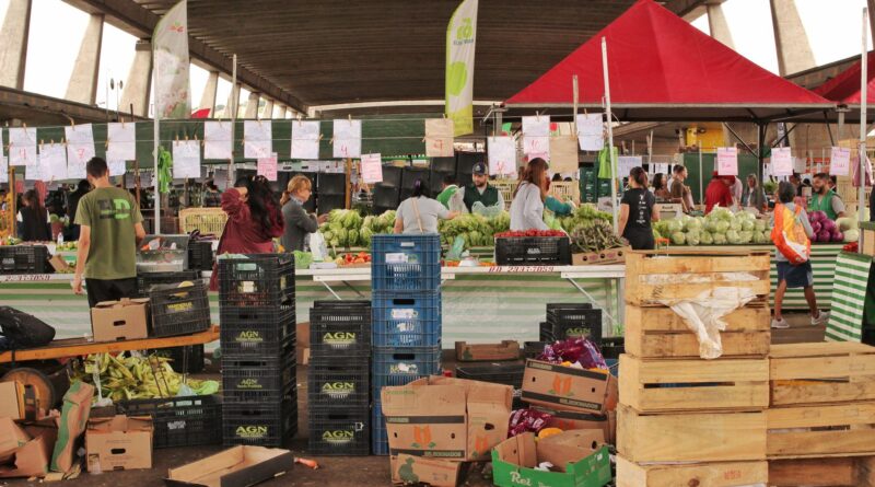 Família brasileira acessando alimentos saudáveis, simbolizando a busca por segurança alimentar
