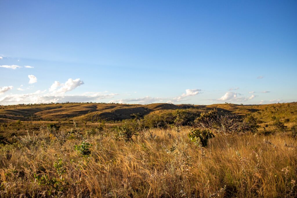 Vista aérea de área desmatada no bioma Cerrado, com contraste entre vegetação nativa e lavoura agrícola.