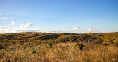 Vista aérea de área desmatada no bioma Cerrado, com contraste entre vegetação nativa e lavoura agrícola.
