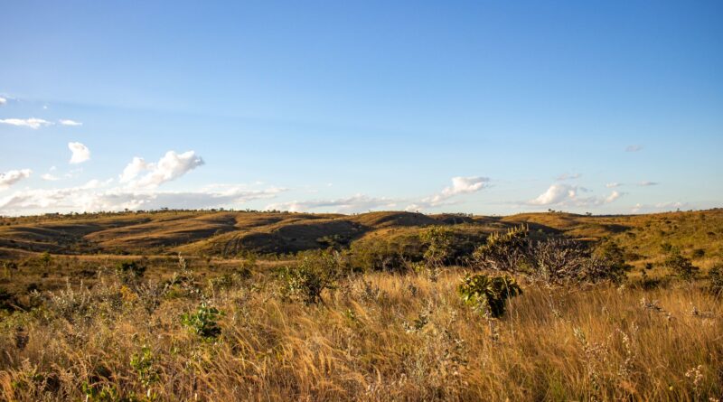 Vista aérea de área desmatada no bioma Cerrado, com contraste entre vegetação nativa e lavoura agrícola.