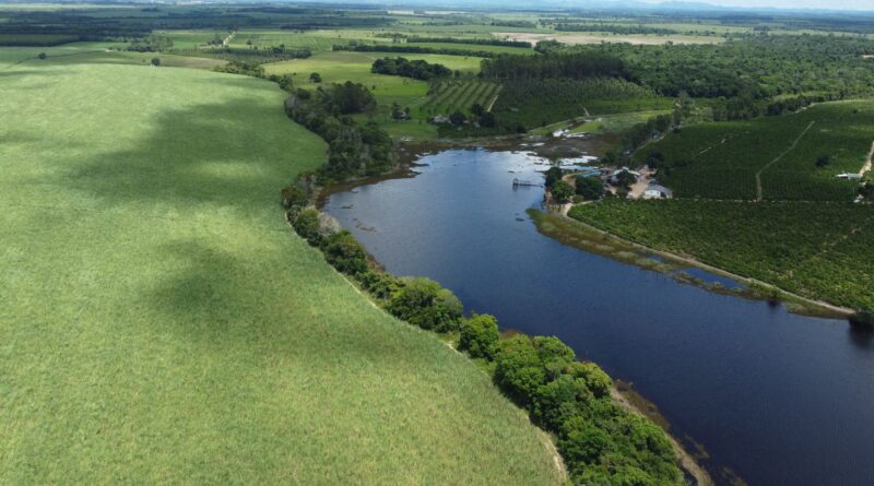 Rio poluído em área urbana do Brasil, com lixo e esgoto visíveis, simbolizando a crise da qualidade da água.