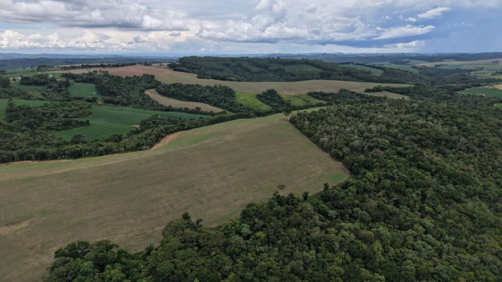 Lavoura de soja afetada por seca ou enchente, simbolizando os desafios do clima extremo na agricultura brasileira.