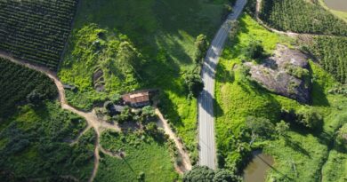 Representação gráfica do mercado de carbono no Brasil, com elementos de sustentabilidade e economia, como árvores e gráficos financeiros.