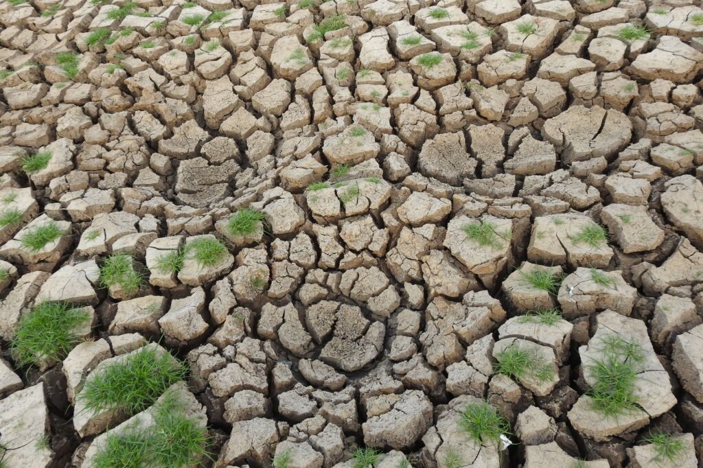Campo de lavoura de soja sob sol forte com rachaduras no solo ou campo alagado, simbolizando os desafios climáticos na agricultura brasileira.