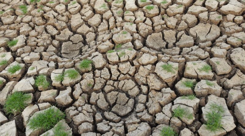 Campo de lavoura de soja sob sol forte com rachaduras no solo ou campo alagado, simbolizando os desafios climáticos na agricultura brasileira.
