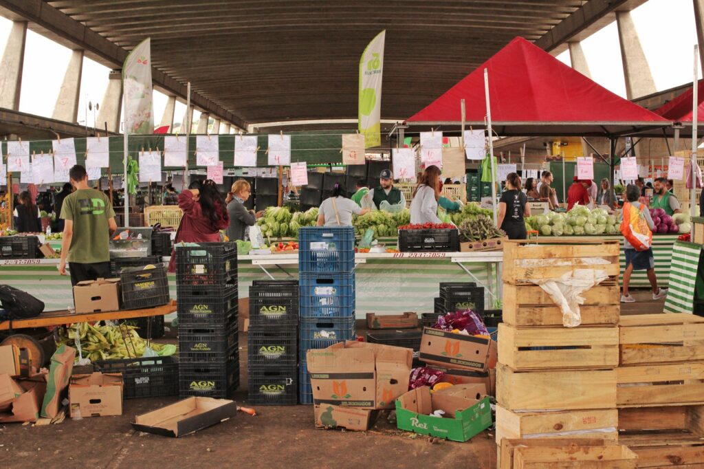 Família brasileira comendo alimentos saudáveis, simbolizando segurança alimentar e programas governamentais