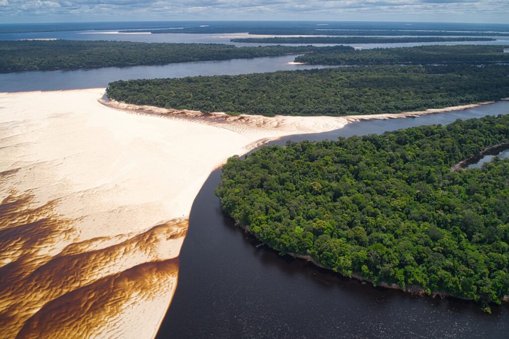 Operação de combate ao garimpo ilegal na Amazônia brasileira, com agentes e equipamentos em área de desmatamento.