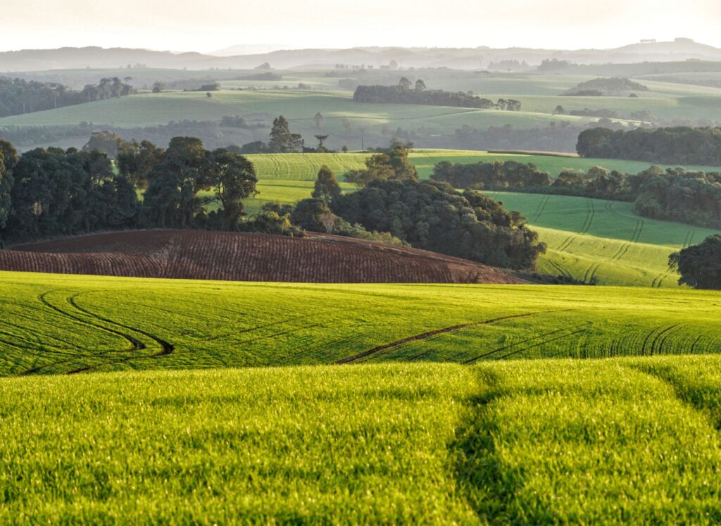 Plantação agrícola no Brasil com tecnologias de sustentabilidade e céu azul.