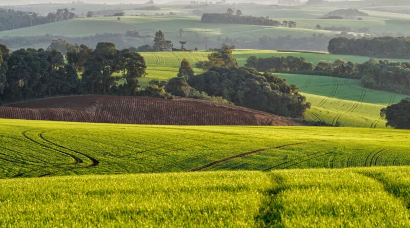 Plantação agrícola no Brasil com tecnologias de sustentabilidade e céu azul.