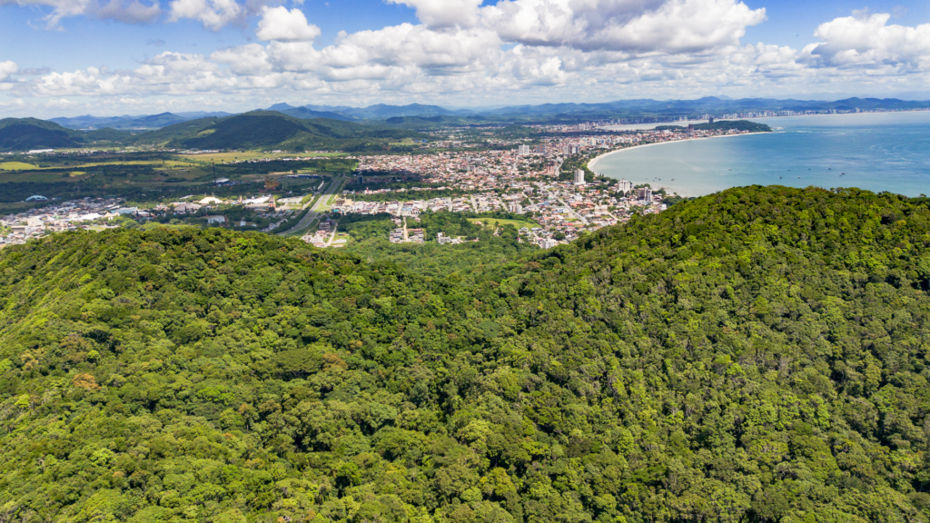Cientistas explorando a biodiversidade brasileira em floresta tropical para a bioeconomia