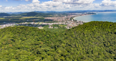 Cientistas explorando a biodiversidade brasileira em floresta tropical para a bioeconomia