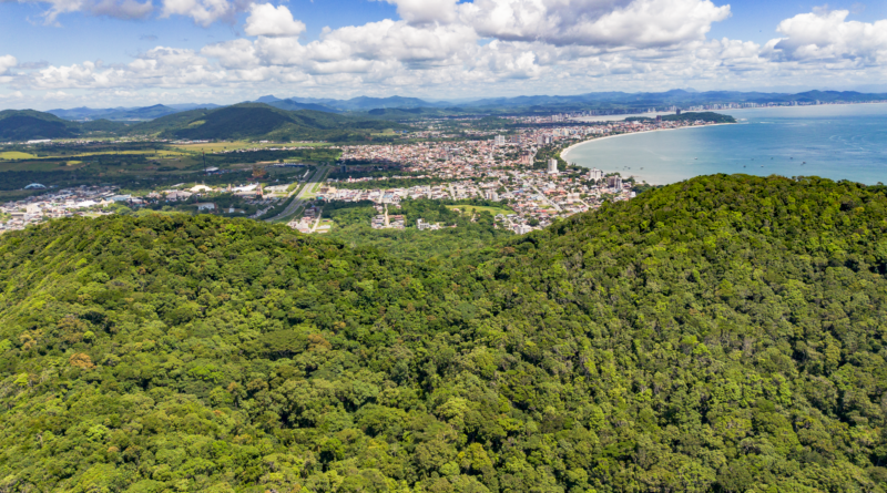 Cientistas explorando a biodiversidade brasileira em floresta tropical para a bioeconomia