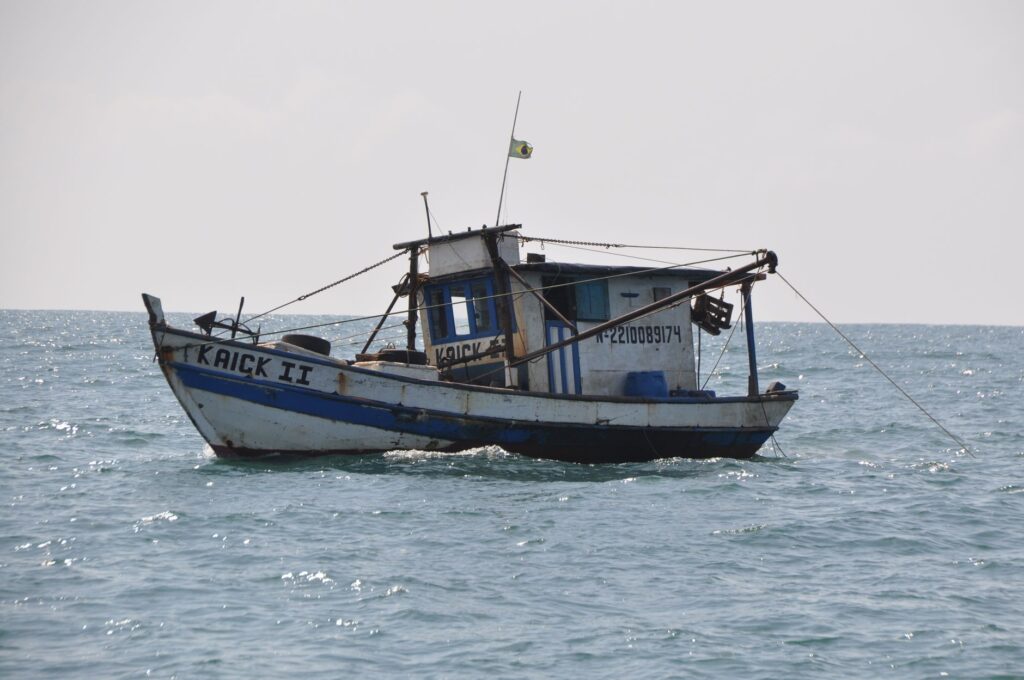 Barcos de pesca ilegal em rio amazônico ou animais silvestres apreendidos em operação contra o tráfico