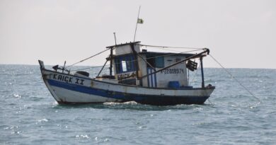 Barcos de pesca ilegal em rio amazônico ou animais silvestres apreendidos em operação contra o tráfico