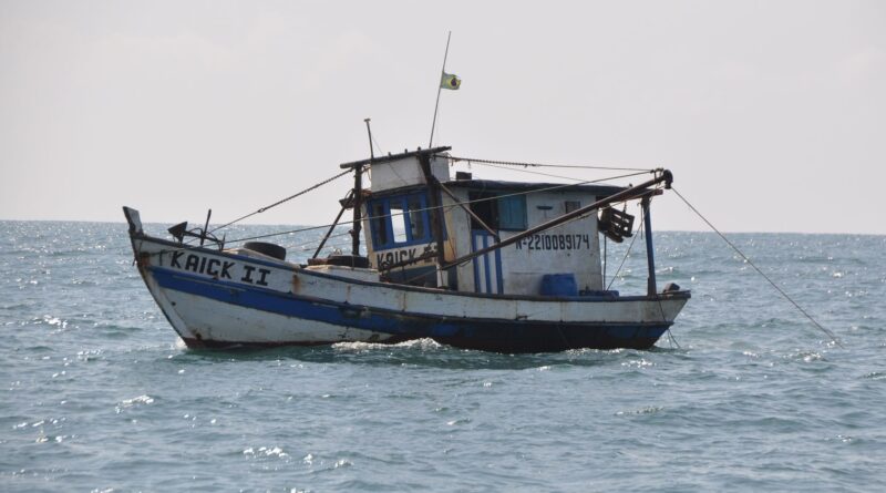 Barcos de pesca ilegal em rio amazônico ou animais silvestres apreendidos em operação contra o tráfico