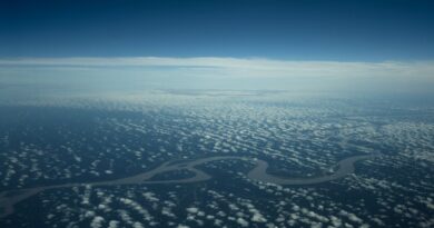 Imagem de satélite mostrando áreas de desmatamento na floresta amazônica, com sobreposição de dados de monitoramento.